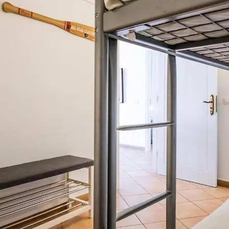 Live El Poris Begonia *