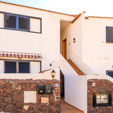 Live El Poris Begonia