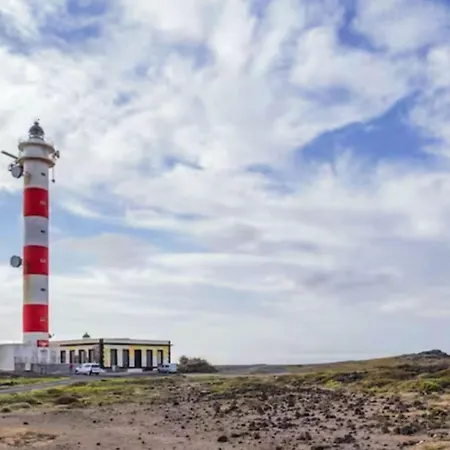 Live El Poris Begonia *