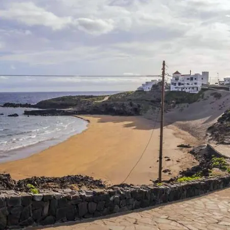 Live El Poris Begonia *