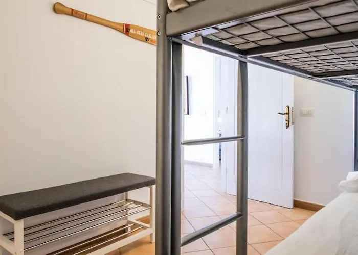 Live El Poris Begonia *