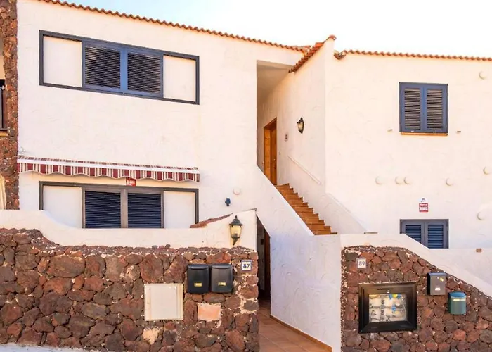 Live El Poris Begonia