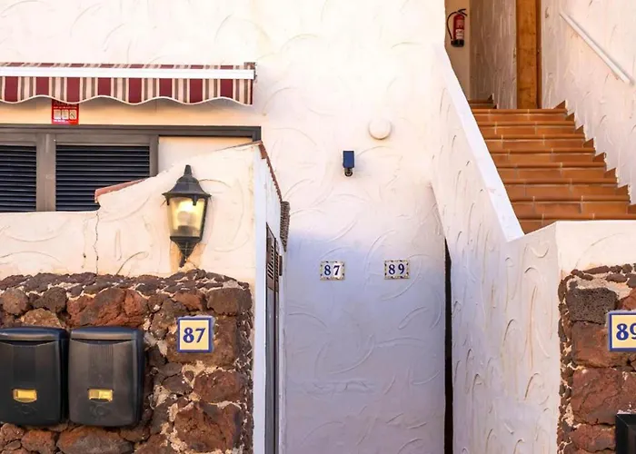 Live El Poris Begonia *