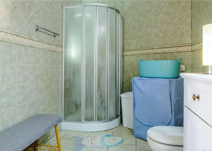 Live El Poris Begonia Porís de Abona