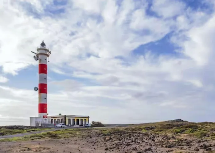 Live El Poris Begonia *