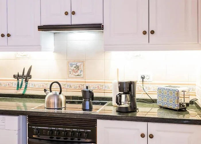 Live El Poris Begonia