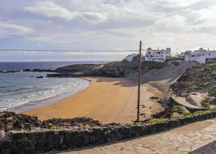 Live El Poris Begonia *