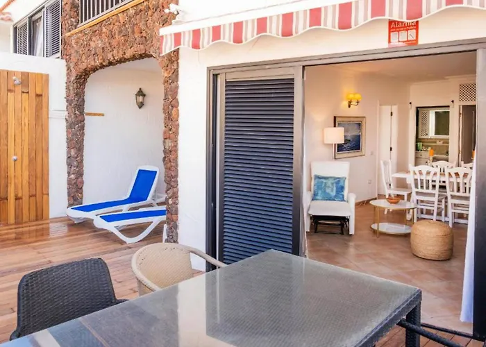 Live El Poris Begonia